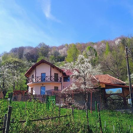 La Cascada Sipot Villa Merisor Exterior photo