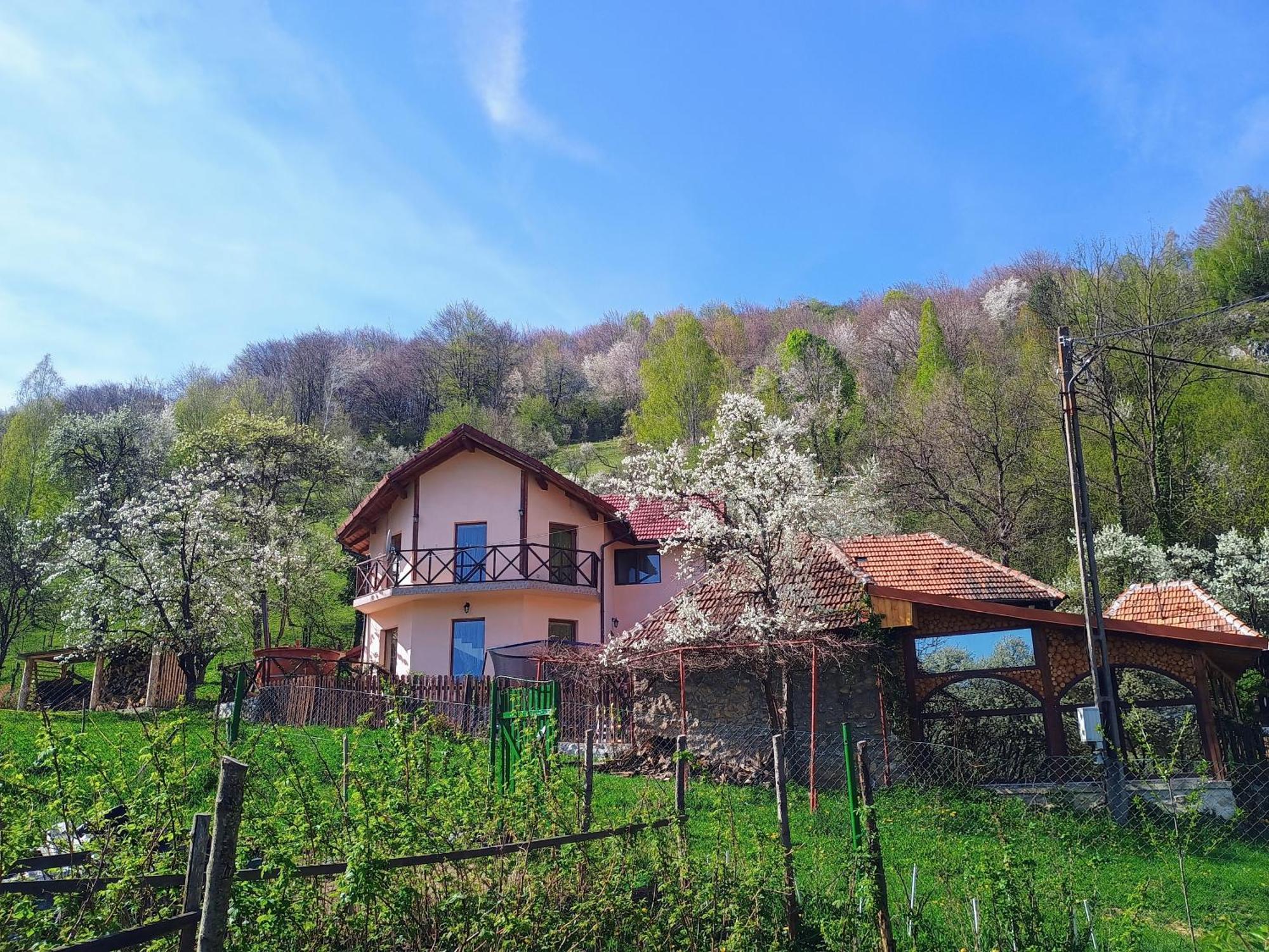 La Cascada Sipot Villa Merisor Exterior photo