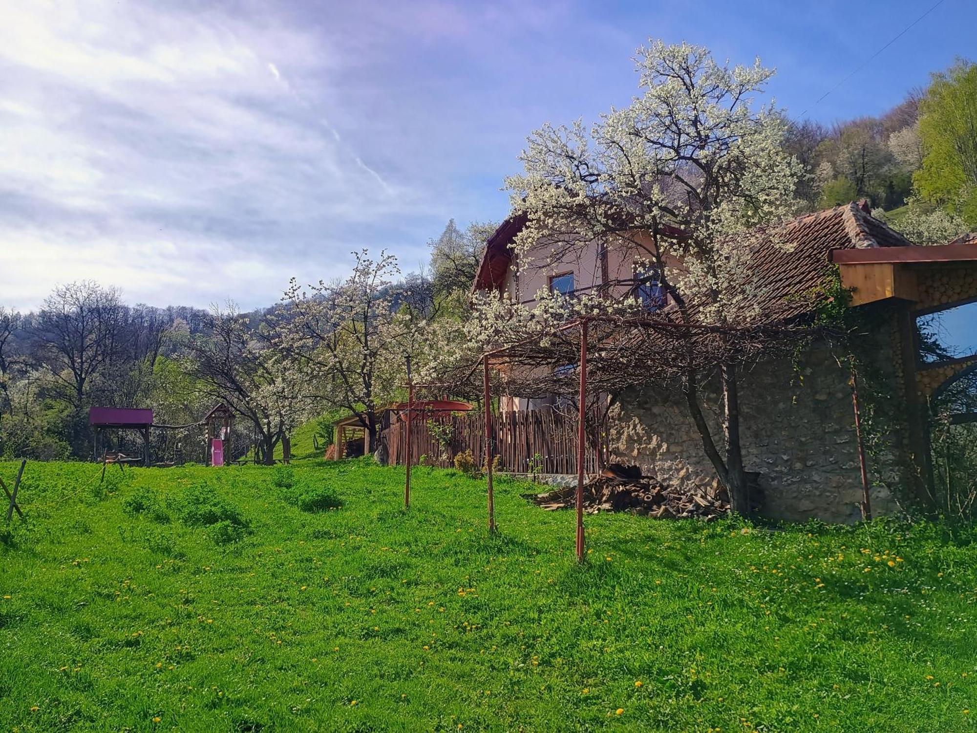 La Cascada Sipot Villa Merisor Exterior photo